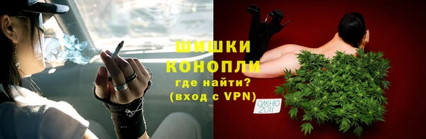 гидра Белокуриха
