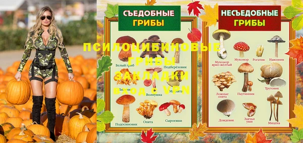 гидра Белокуриха