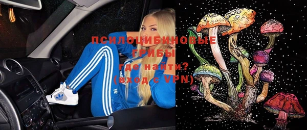 гидра Белокуриха