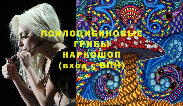 гидра Белокуриха