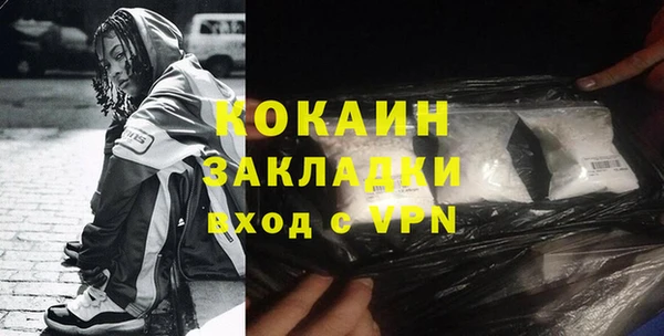 гидра Белокуриха