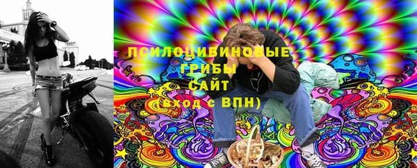 гидра Белокуриха