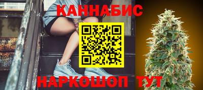 мдпв Гатчина
