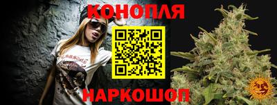 мдпв Гатчина