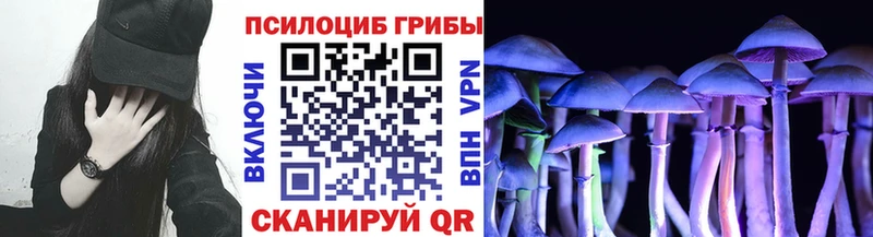 KRAKEN вход  Керчь  Галлюциногенные грибы мицелий  продажа наркотиков 
