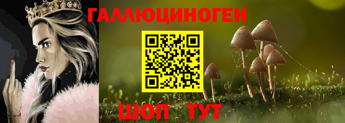 Керчь  Галлюциногенные грибы Psilocybine cubensis  Вход с VPN 